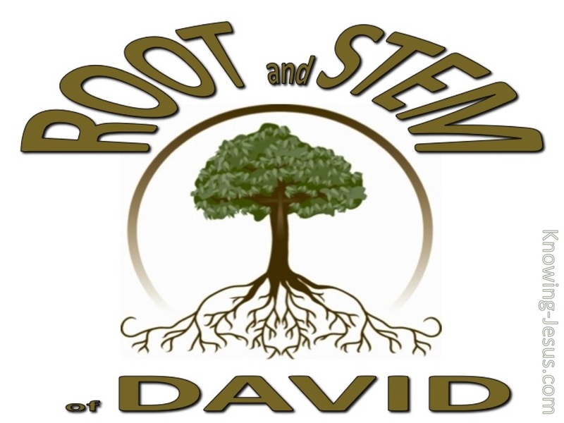 Revelation 22:16 Root and Stem of David (devotional) (white)